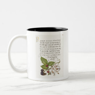 Tasse 2 Couleurs Calligraphie de Blackberry et Nottingham Catchfly