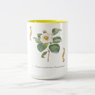 Tasse 2 Couleurs Camellia japonica 'Alba Plena' 