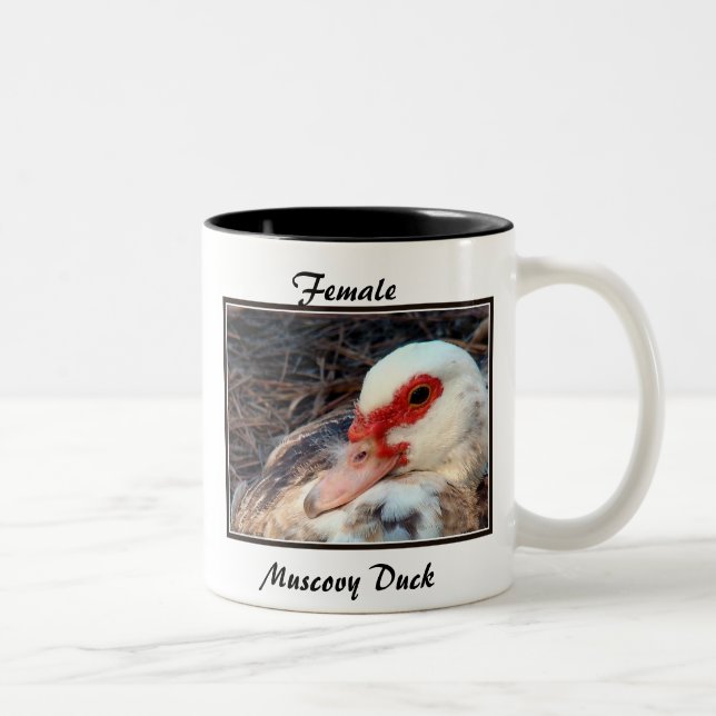 Tasse 2 Couleurs Canard de Muscovy femelle (Droit)