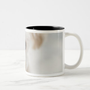 Tasse 2 Couleurs caniche de jouet