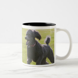 Tasse 2 Couleurs Caniche jouant le frisbee