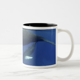 Tasse 2 Couleurs Caraïbes, archipel des Grandes Antilles,