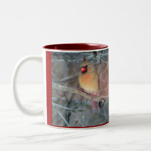 Tasse 2 Couleurs Cardinaux
