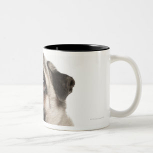 Tasse 2 Couleurs Carlin (13 mois) recherchant