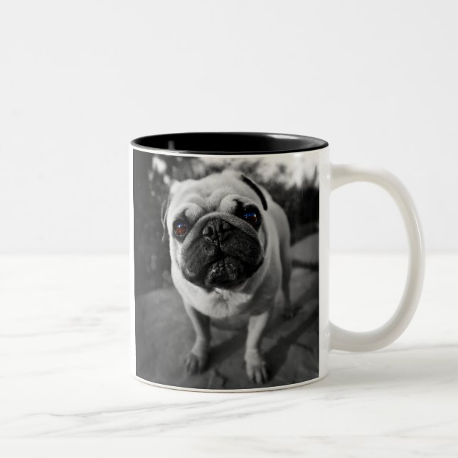 Tasse 2 Couleurs Carlin beau (Droit)