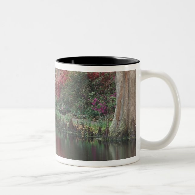 Tasse 2 Couleurs Caroline du Sud, Charleston (Droit)