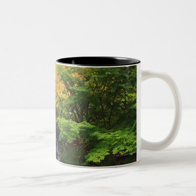 Tasse 2 Couleurs Cascade brouillée de roche, arbres verts et (Droit)