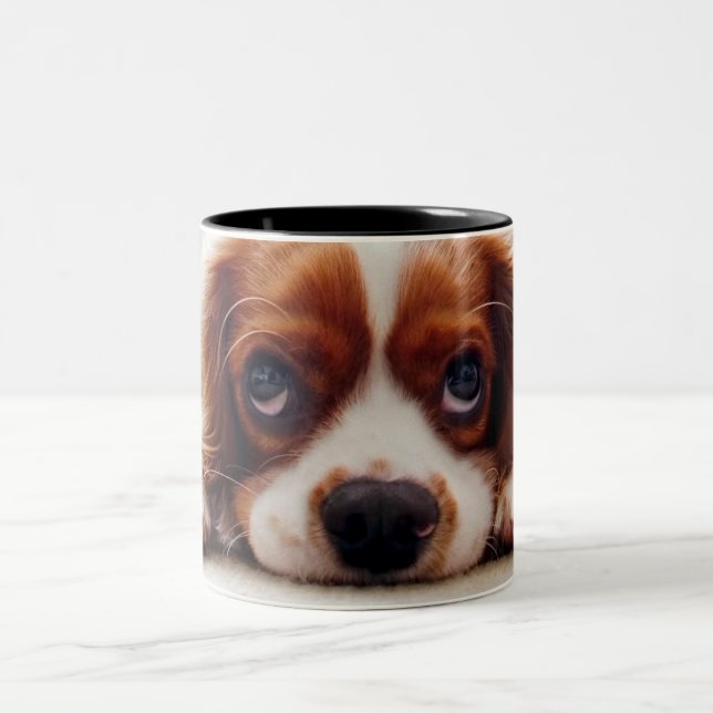 Tasse 2 Couleurs Cavalier King Charles Spaniel (Centre)