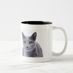Tasse 2 Couleurs Chat bleu russe