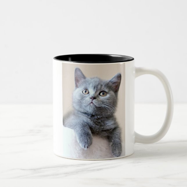Tasse 2 Couleurs Chat britannique gris de Shorthair (Droit)