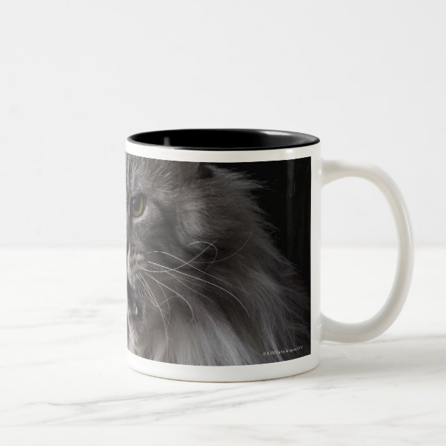 Tasse 2 Couleurs Chat de ragondin du Maine 2 (Droit)