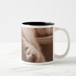 Tasse 2 Couleurs Chat de sommeil