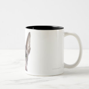 Tasse 2 Couleurs Chat de Sphynx avec la langue