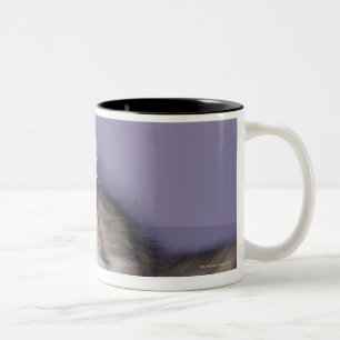Tasse 2 Couleurs Chat faisant un pas dans le talon haut