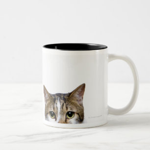 Tasse 2 Couleurs Chat japonais et chat mannois sur l'arrière - pla