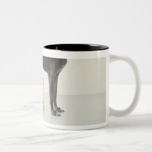 Tasse 2 Couleurs Chat se reposant sous great dane