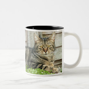Tasse 2 Couleurs Chat tigré