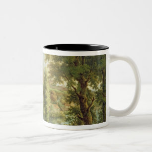Tasse 2 Couleurs Château de Ludlow avec le déversoir de Dinham, d