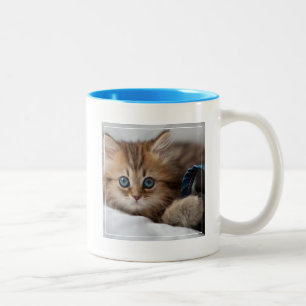 Tasse 2 Couleurs Chaton avec des yeux bleus