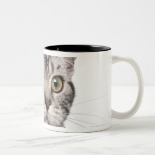 Tasse 2 Couleurs Chaton britannique de Shorthair (4 mois)