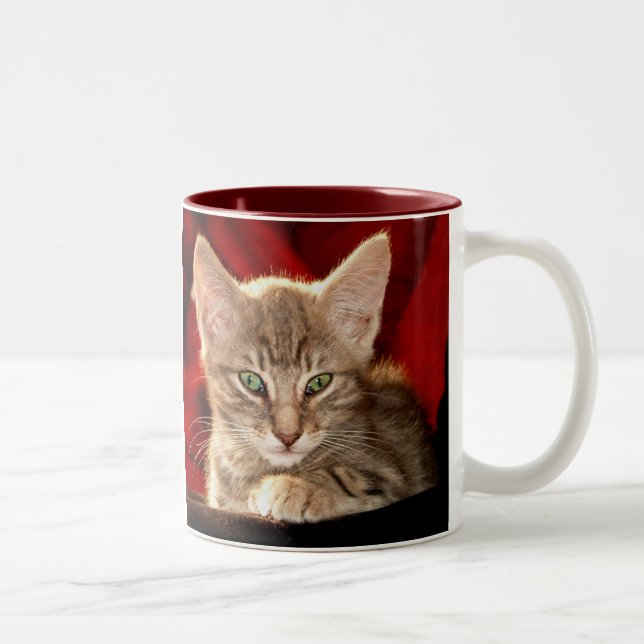 Tasse 2 Couleurs Chaton de Hemingway (Droit)