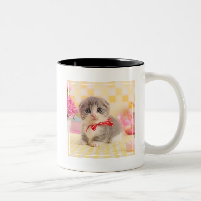 Tasse 2 Couleurs Chaton de Munchkin (Droit)