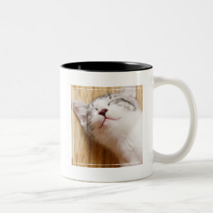 Tasse 2 Couleurs Chaton de sommeil