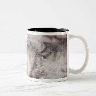 Tasse 2 Couleurs Chaton dormant sur la serviette