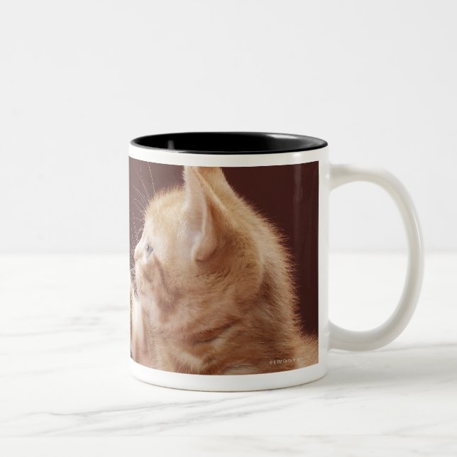 Tasse 2 Couleurs Chaton jouant avec l'ornement (Droit)