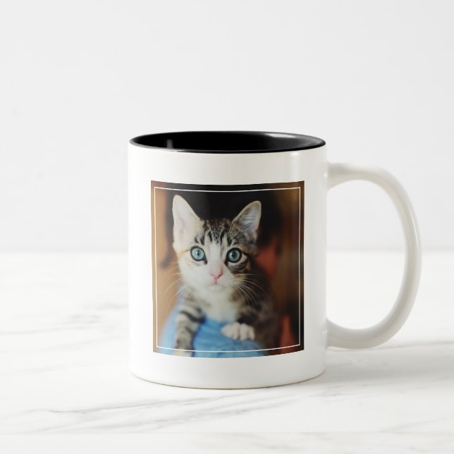 Tasse 2 Couleurs Chaton observé par bleu lumineux (Droit)