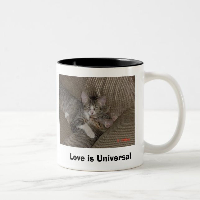 Tasse 2 Couleurs Chatons (Droit)