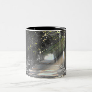 Tasse 2 Couleurs chemin de jardin, Rome