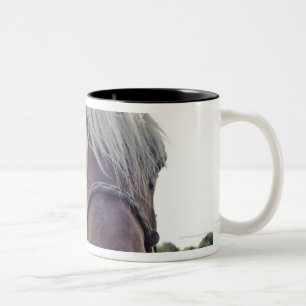 TASSE 2 COULEURS CHEVAL DE SHIRE AU SOLEIL AVEC LE NEZ JUSQU'À