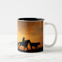 Chevaux Cowboys et Steer Country Western robuste