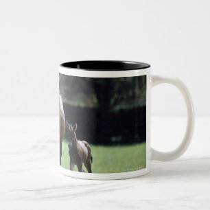 Tasse 2 Couleurs Chevaux - pur sang, jument et poulain,