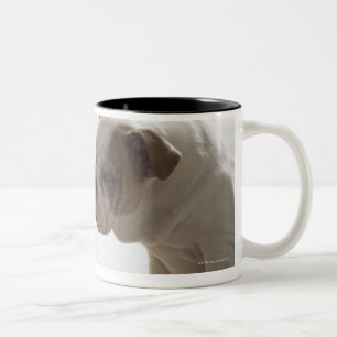 Tasse 2 Couleurs Chien avec le canard en plastique