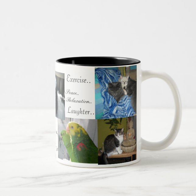 Tasse 2 Couleurs Chien, chats, oiseaux, meilleurs amis (Droit)