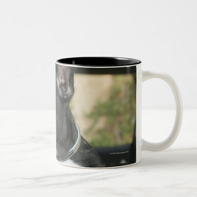 Tasse 2 Couleurs Chien dans la voiture (Droit)