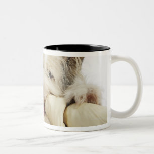 Tasse 2 Couleurs Chien mâchant sur l'os de cuir vert