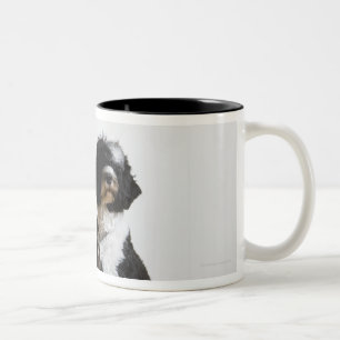 Tasse 2 Couleurs chien sur une laisse