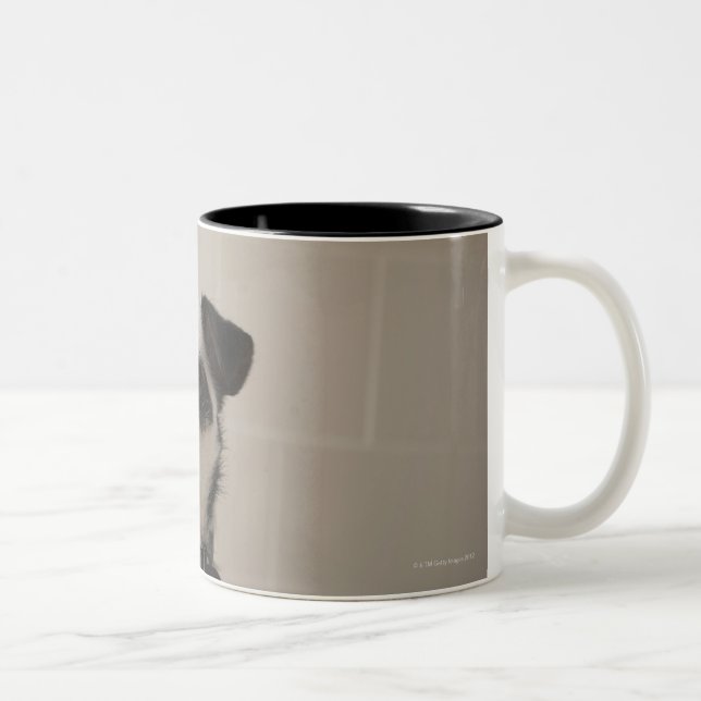 Tasse 2 Couleurs Chien terrier de Jack Russell (Droit)