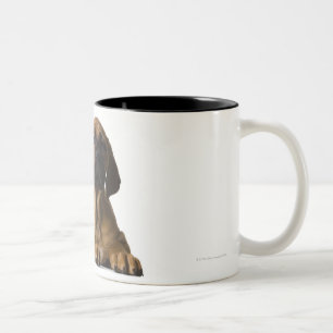 Tasse 2 Couleurs Chiot