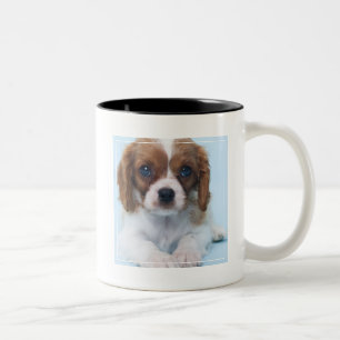 Tasse 2 Couleurs Chiot cavalier d'épagneul du Roi Charles