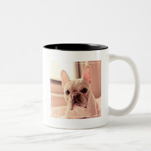 Tasse 2 Couleurs Chiot de bouledogue français