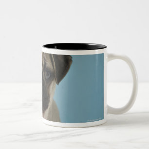 Tasse 2 Couleurs Chiot de carlin sur le fond bleu