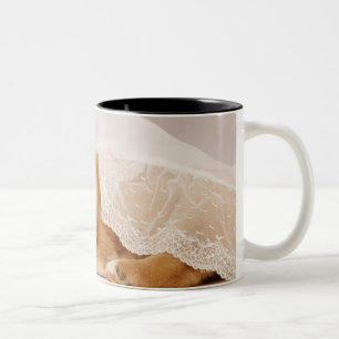 Tasse 2 Couleurs Chiot de Shiba Inu dormant sous un rideau net