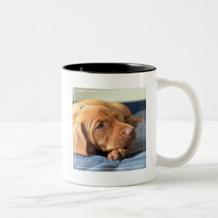 Tasse 2 Couleurs Chiot de Vizsla se reposant sur sa patte