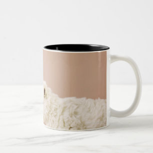Tasse 2 Couleurs Chiot regardant la pile des biscuits dans la