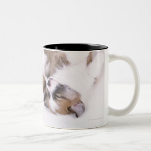 Tasse 2 Couleurs Chiots de corgi de sommeil gallois