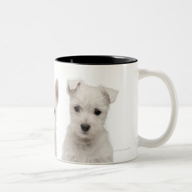 Tasse 2 Couleurs Chiots des montagnes occidentaux de Terrier (7 (Droit)